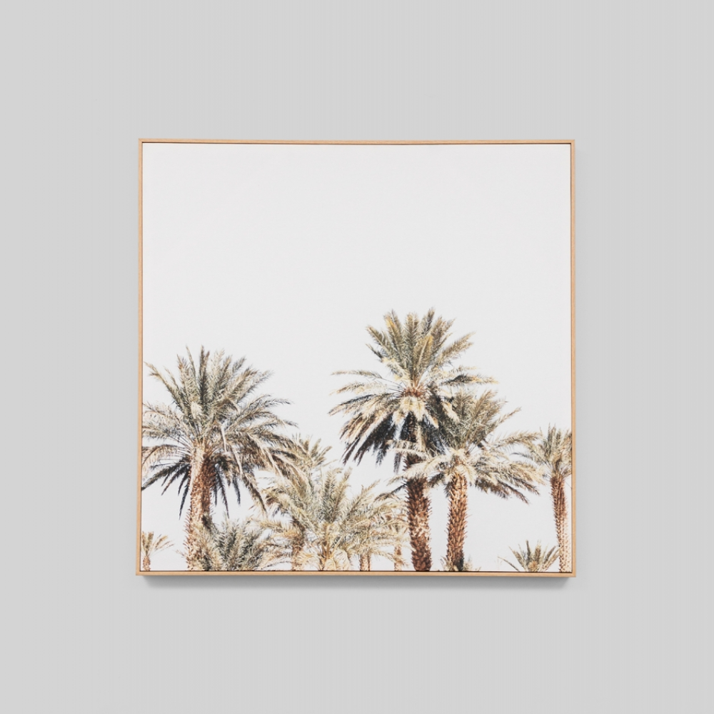 Sun Palms Canvas Print