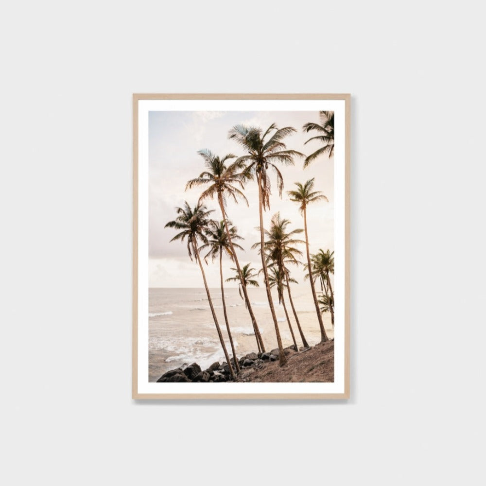 Tropical Dusk Framed Print