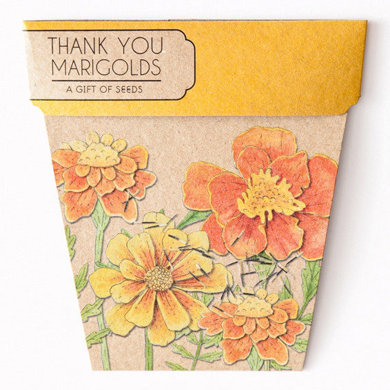 Gift of Seeds - Marigolds - Oxley and Moss