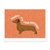 Greeting Card Shawty, It&#39;s Your Birthday Dachshund