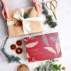 Olieve Christmas Gift Box