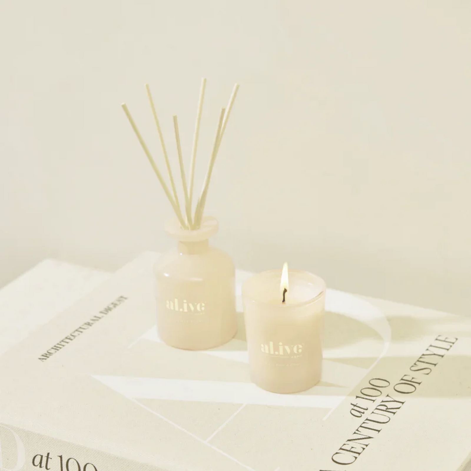Mini Reed Diffuser