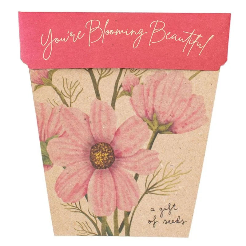 Gift of Seeds