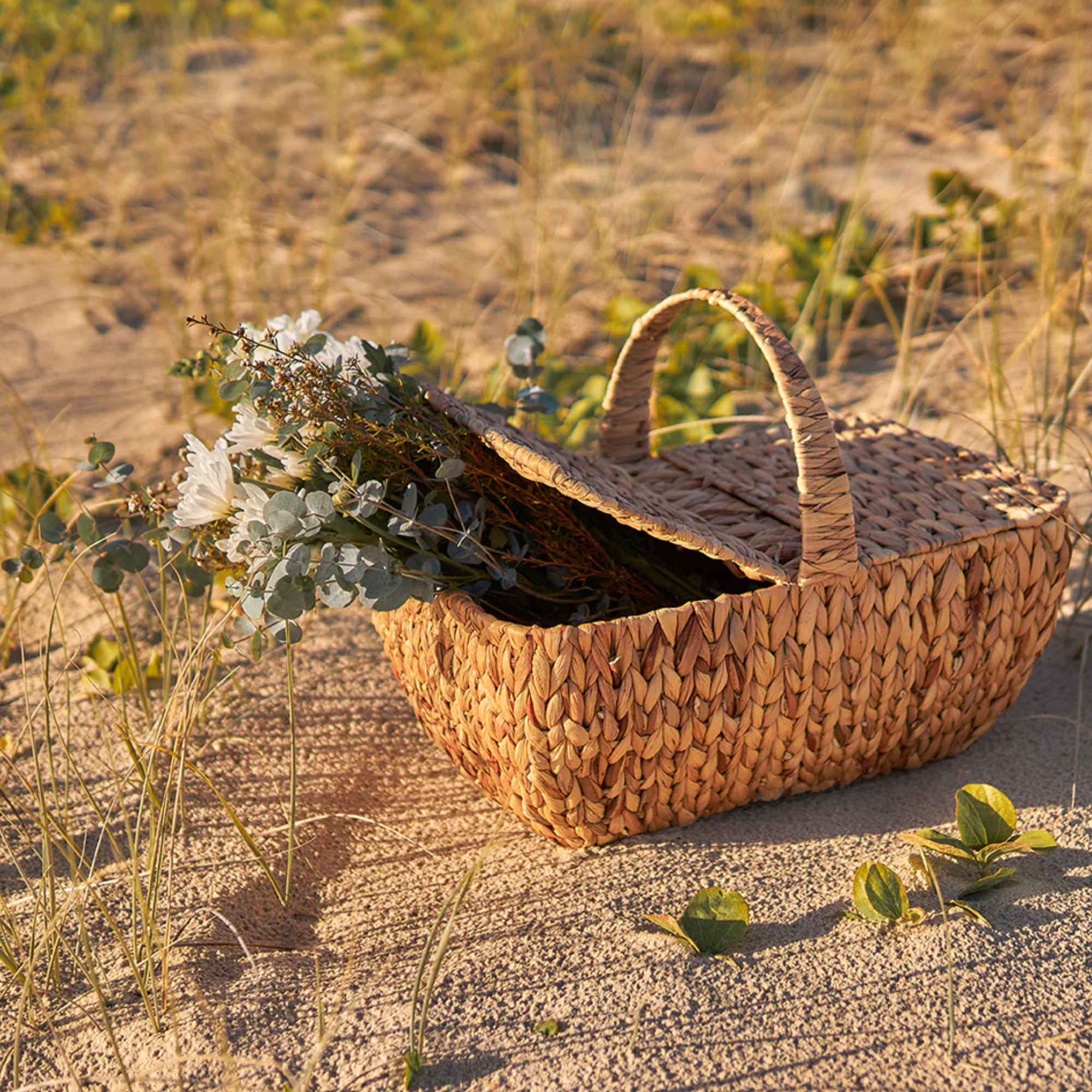 Picnic Basket - Oxley and Moss