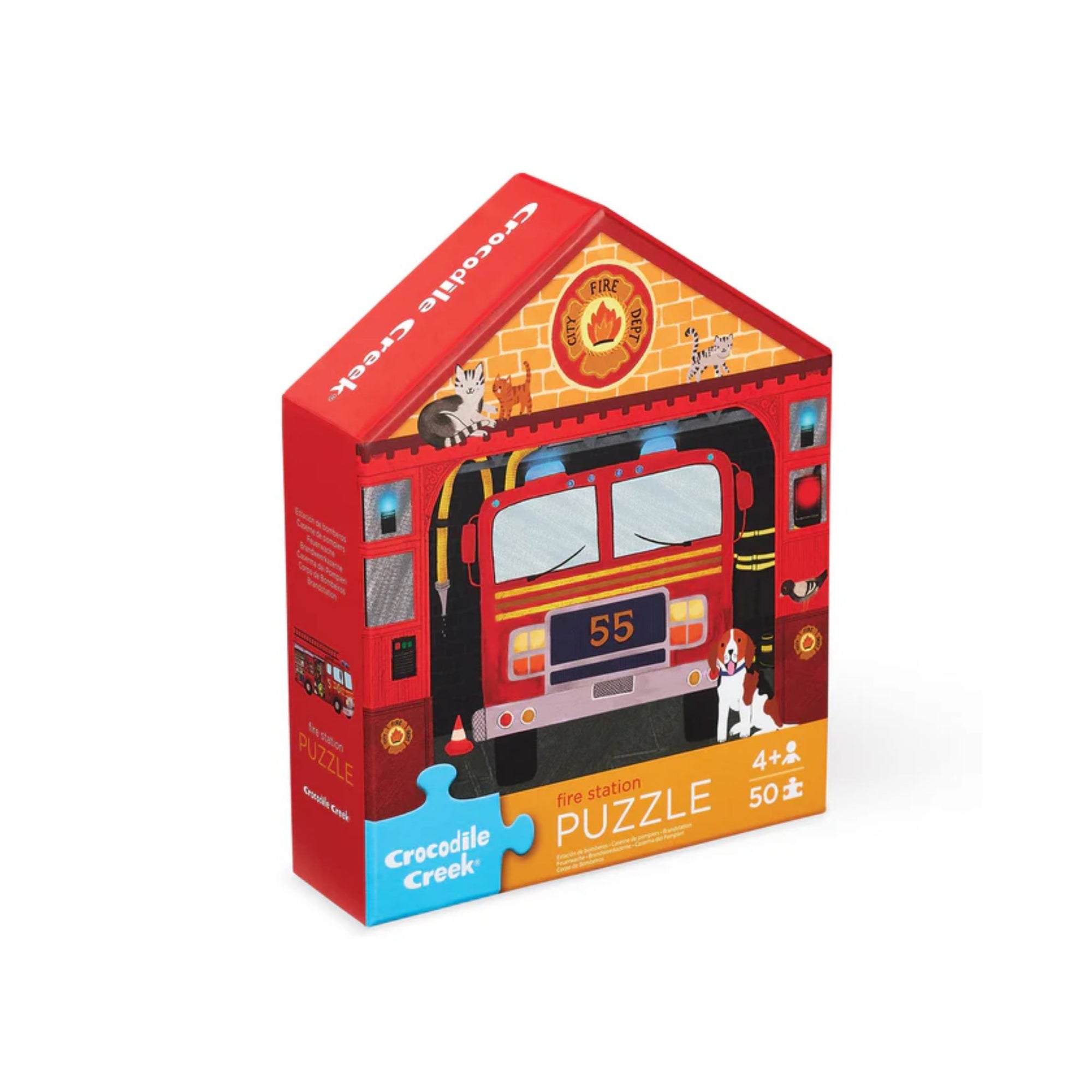 Flat House Puzzle