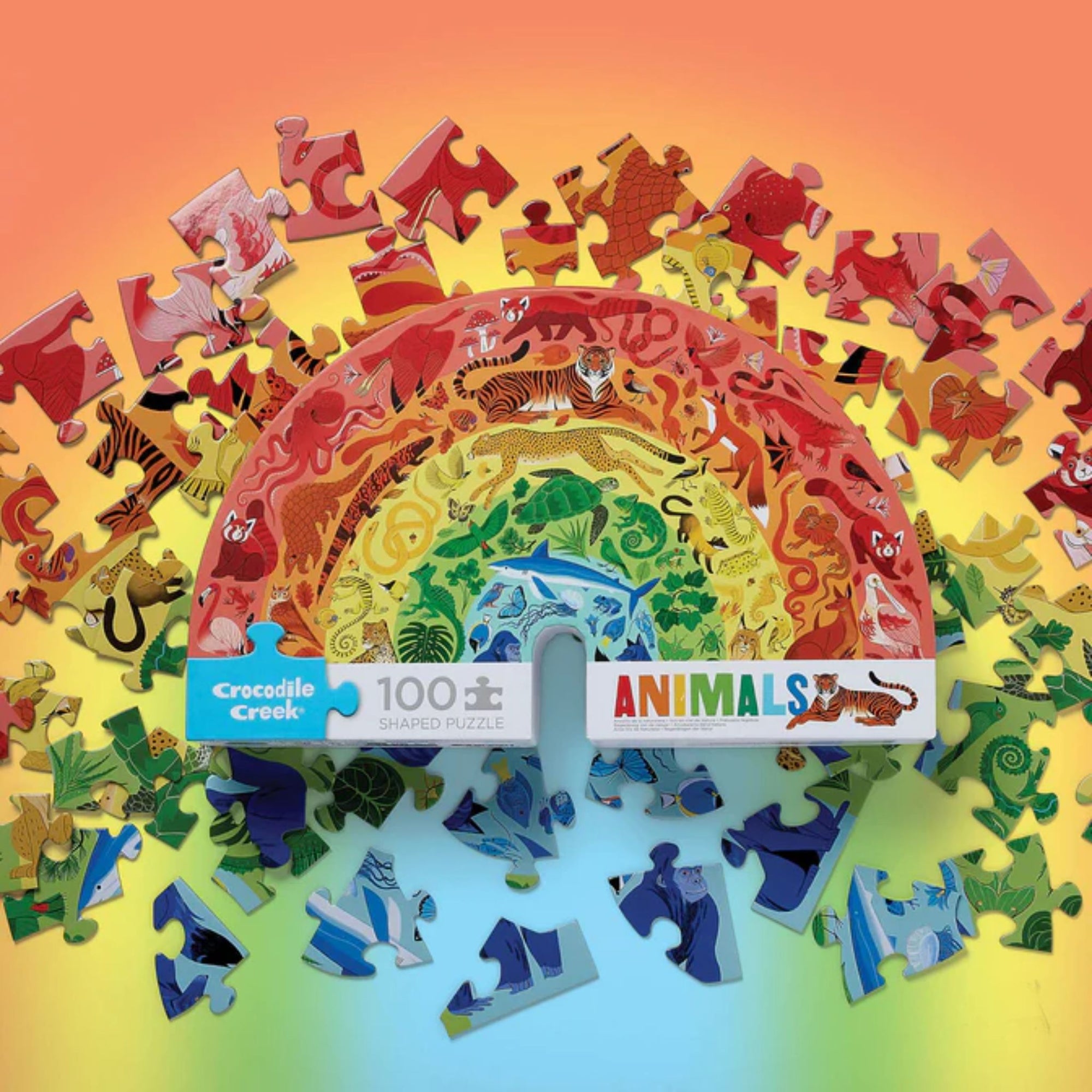 Rainbow Puzzle 100 Piece