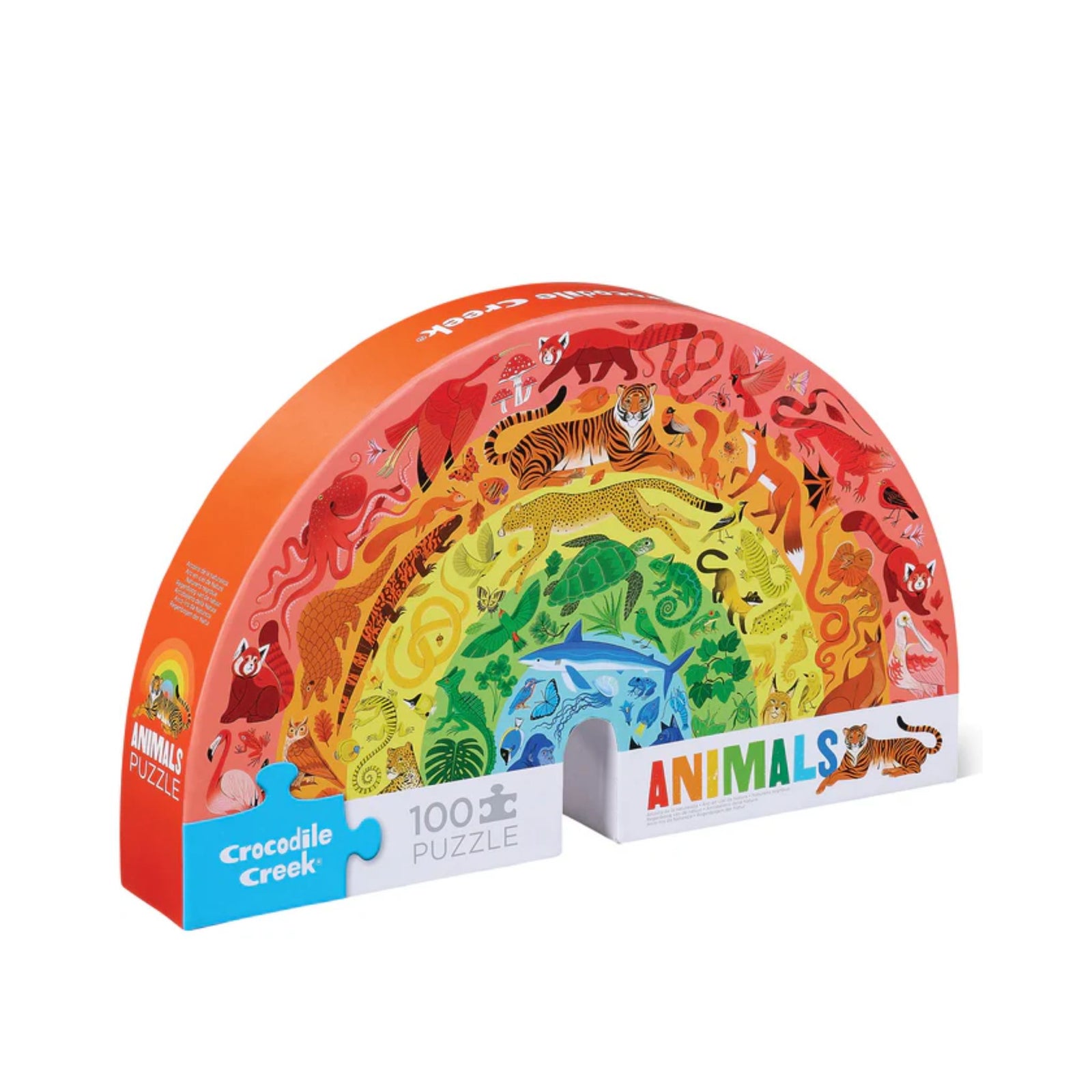 Rainbow Puzzle 100 Piece