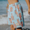 Board Shorts