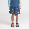 Board Shorts