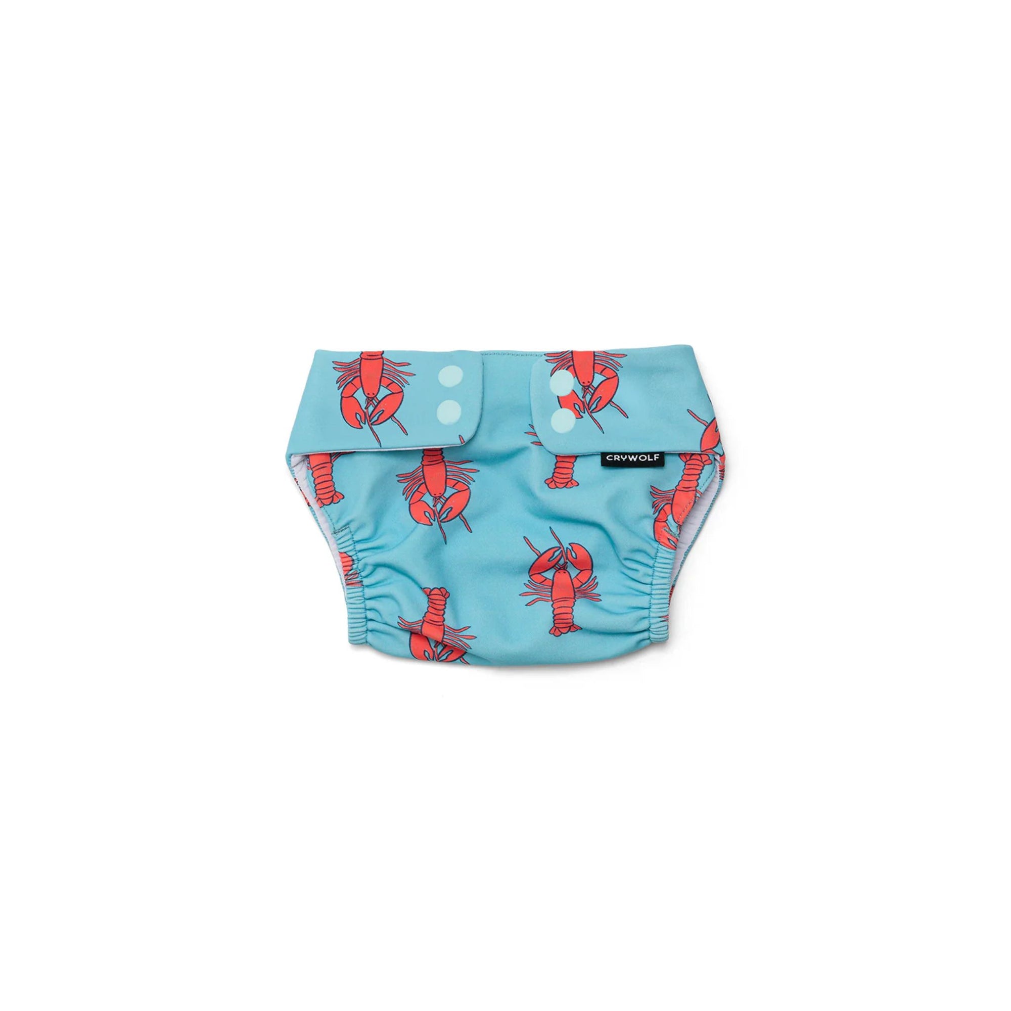 Reusable Swim Nappy