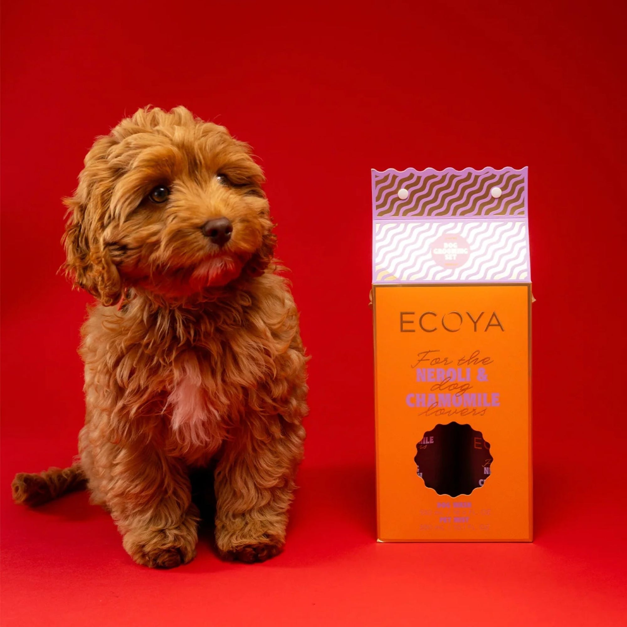 Holiday Dog Grooming Set