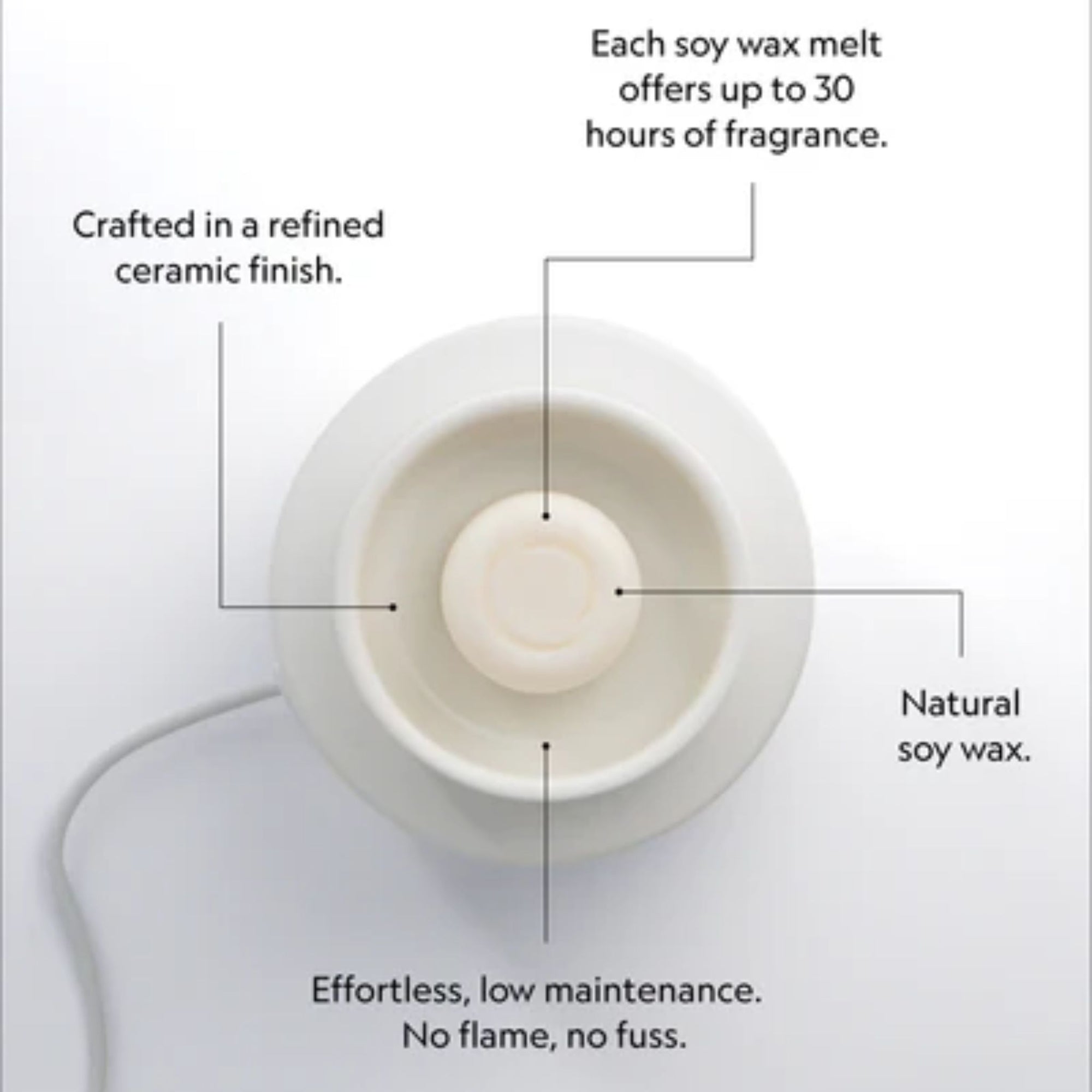 Electric Wax Melter