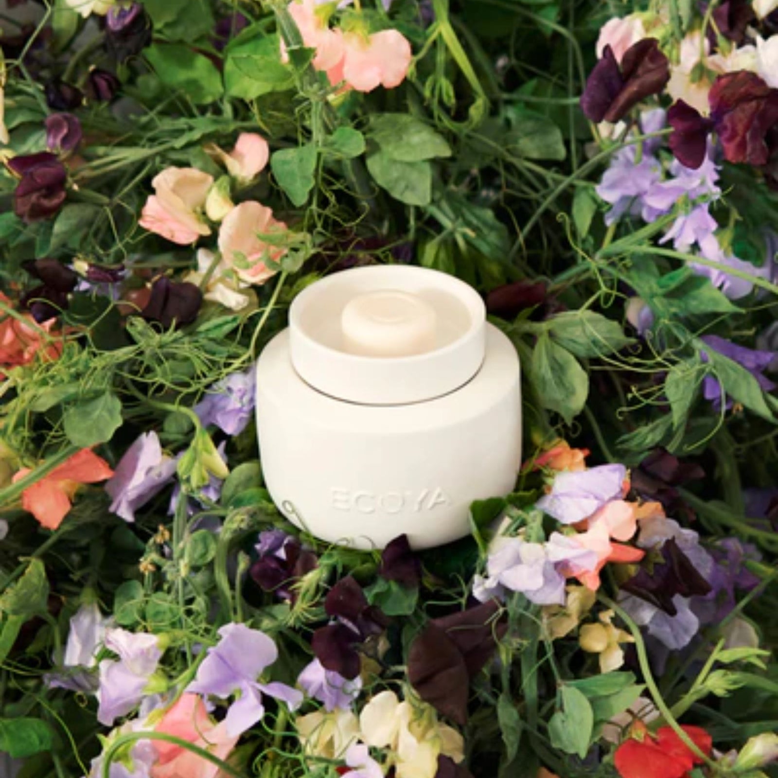 Electric Wax Melter