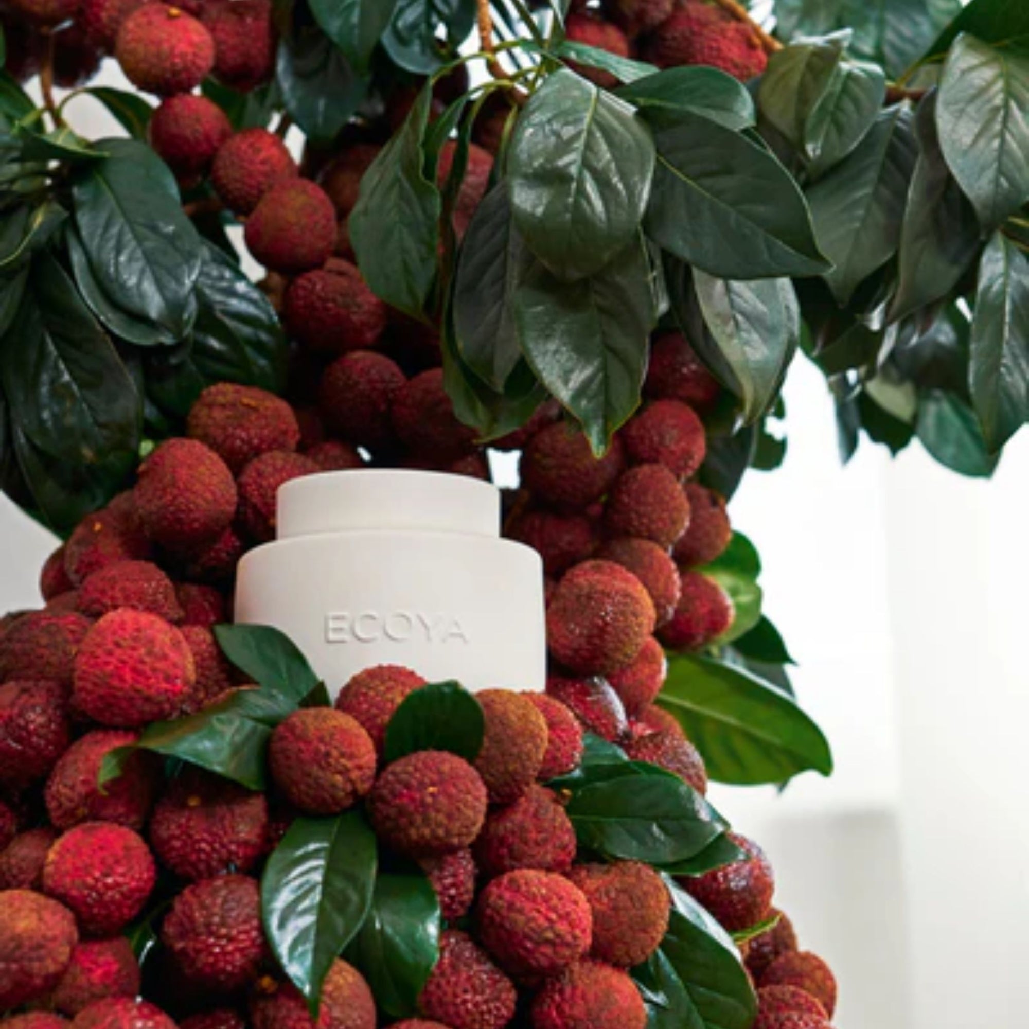 Guava Lychee Sorbet Wax Melts