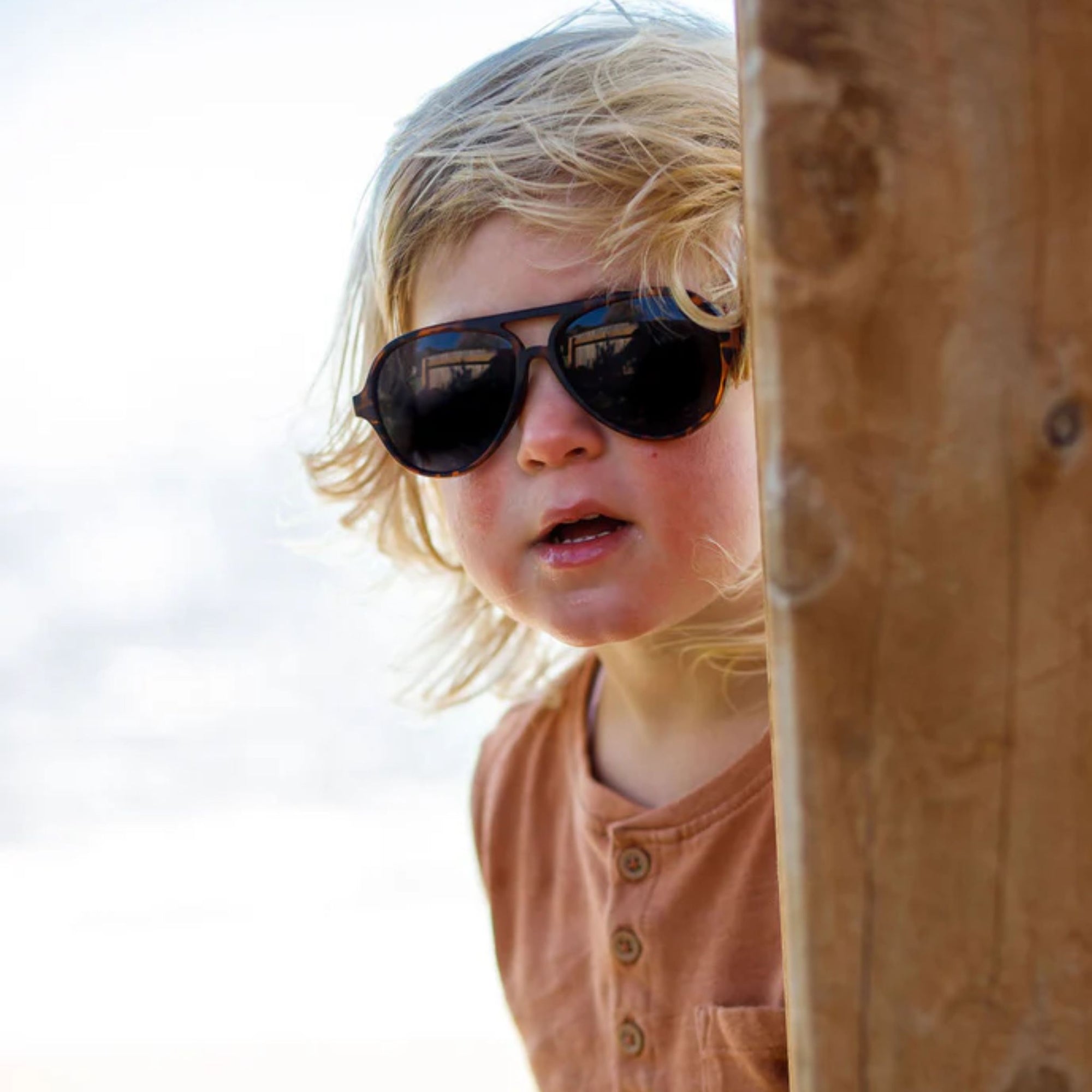 Stanley Tortoise Sunglasses