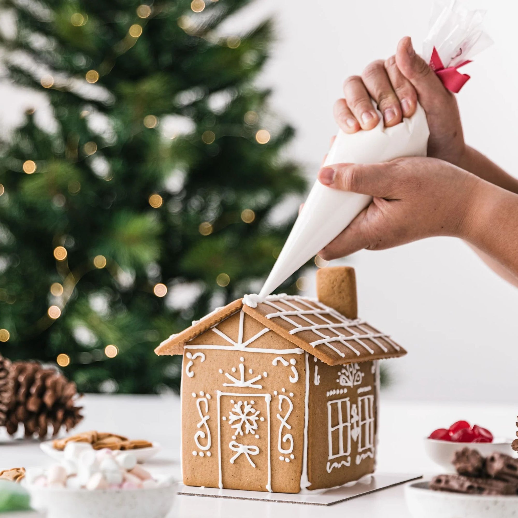 Gingerbread House Kit