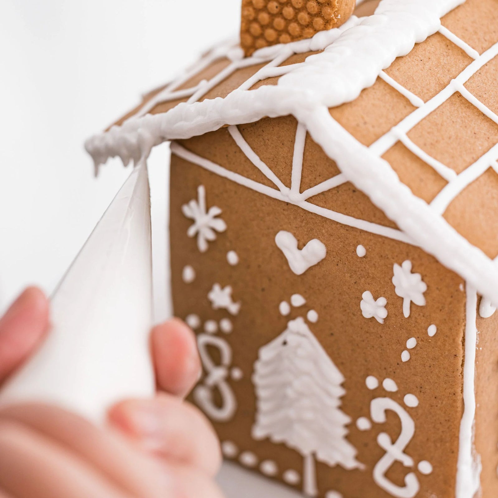 Gluten Free Gingerbread House Kit