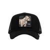 The Pitbull Trucker