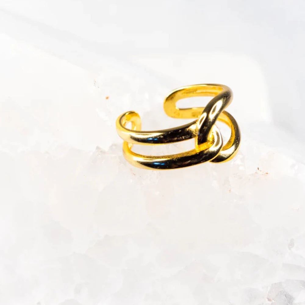 18K Gold Vermeil Intertwined Band Ring