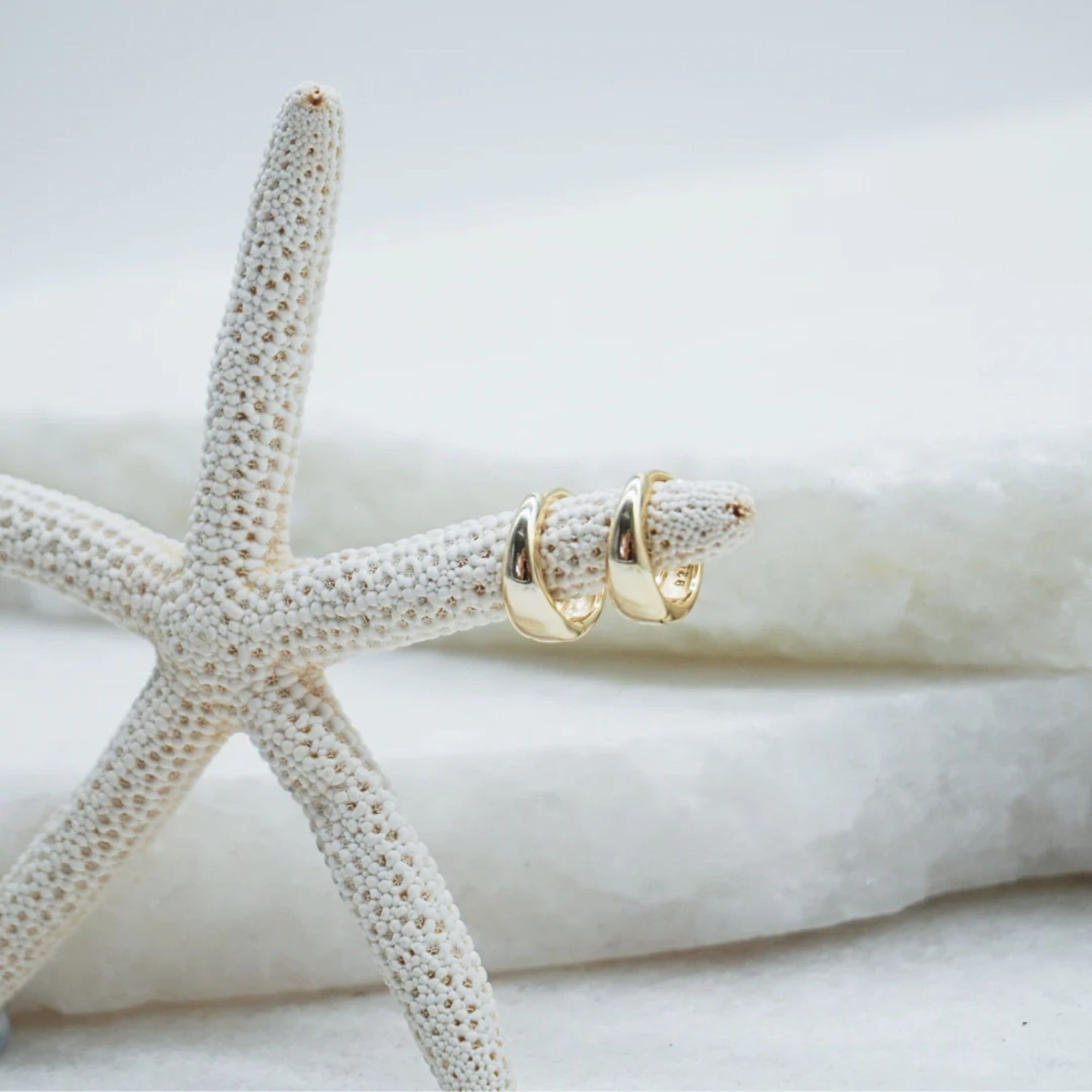 Gold Chunky Round Hoops