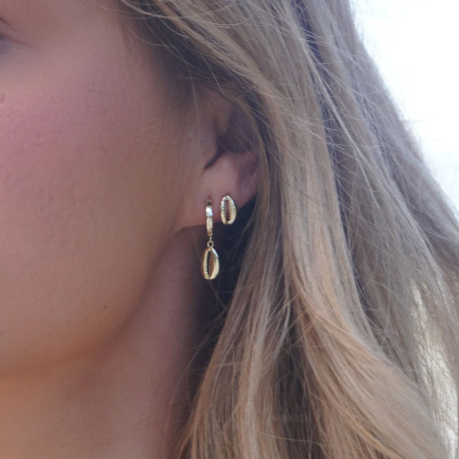 Cowrie Studs