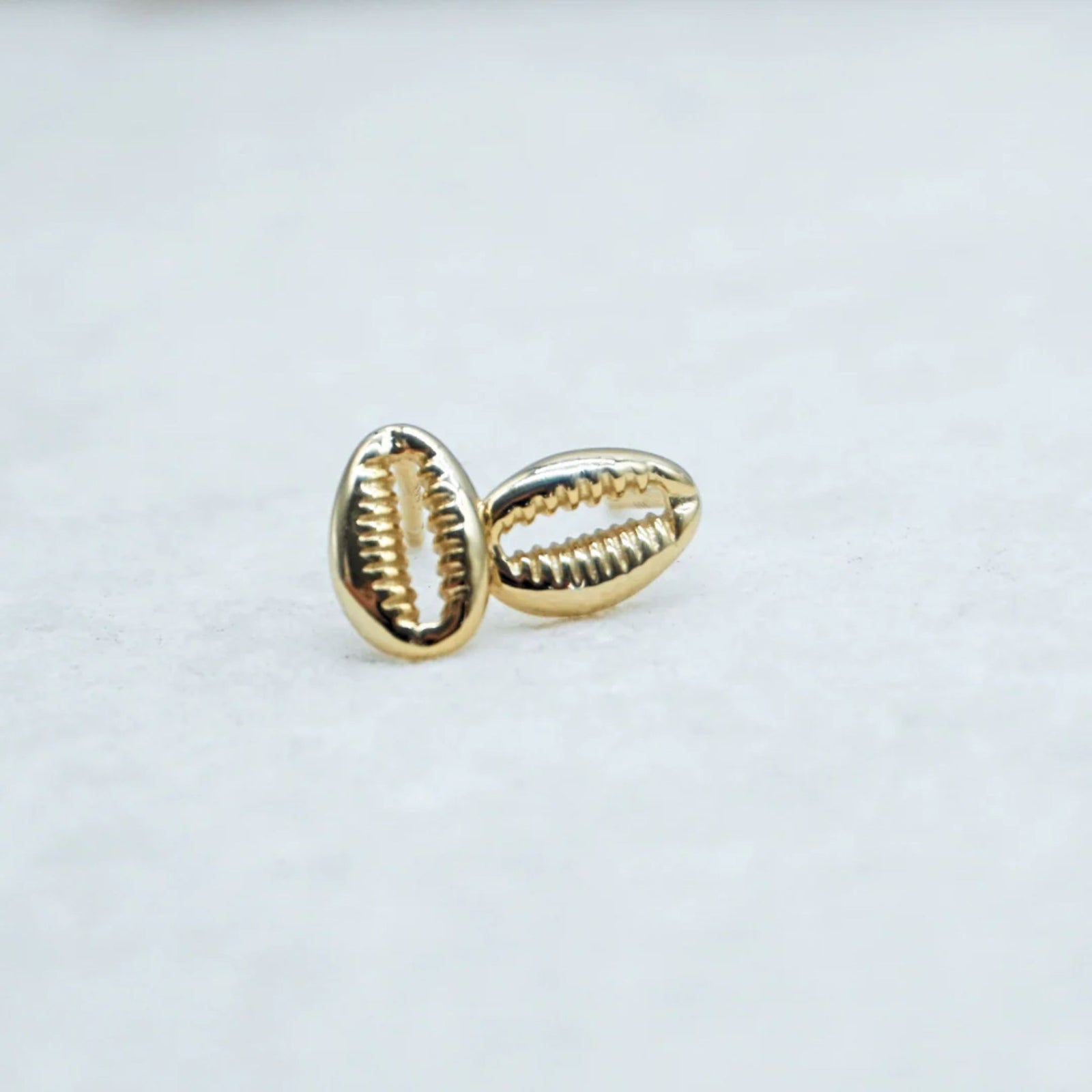 Cowrie Studs