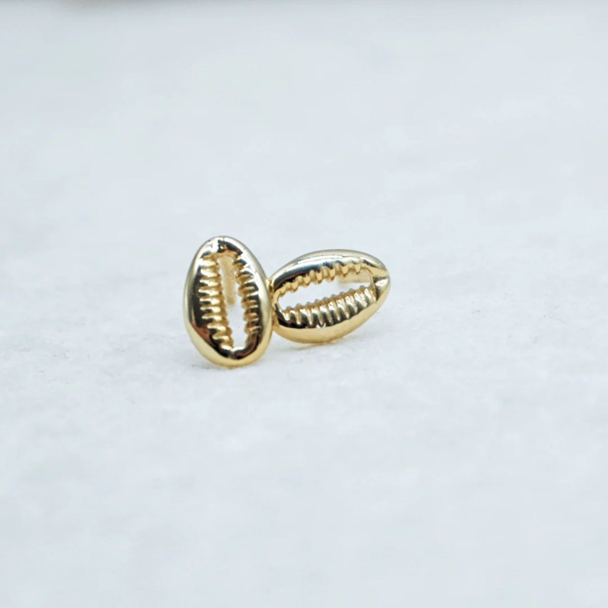 Cowrie Studs