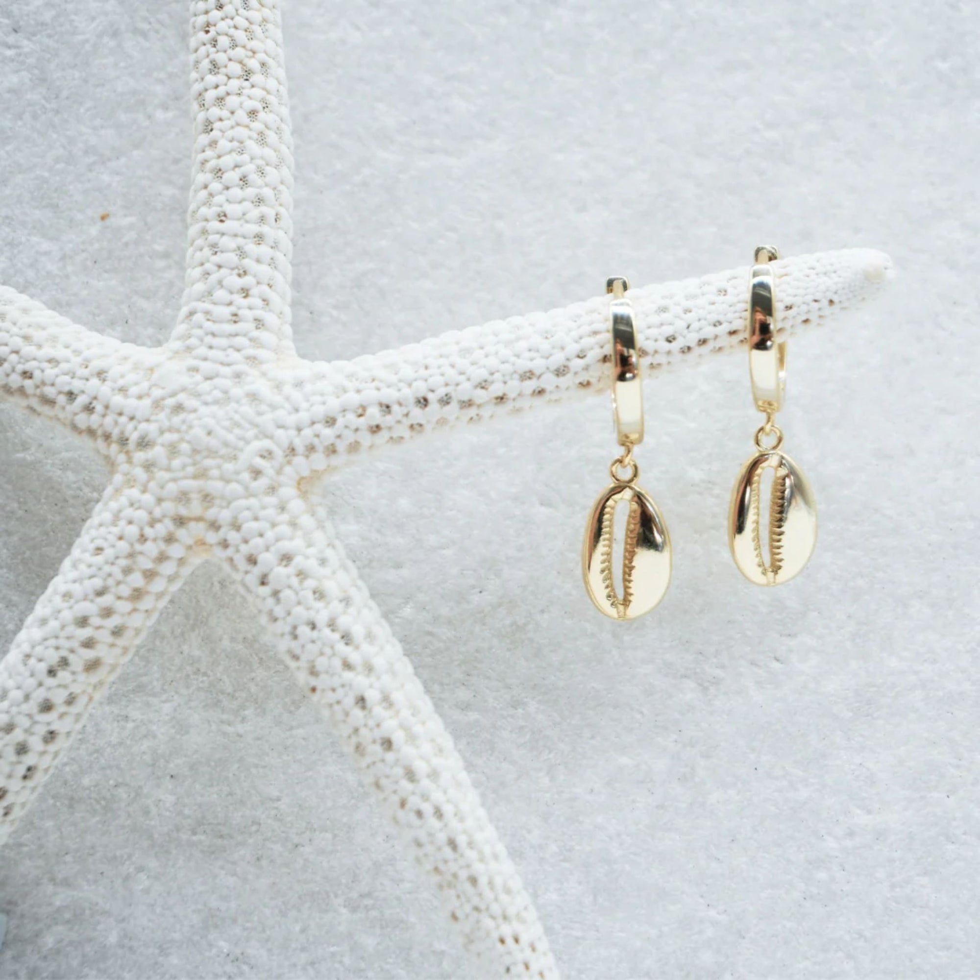 Gold Cowrie Shell Hoops