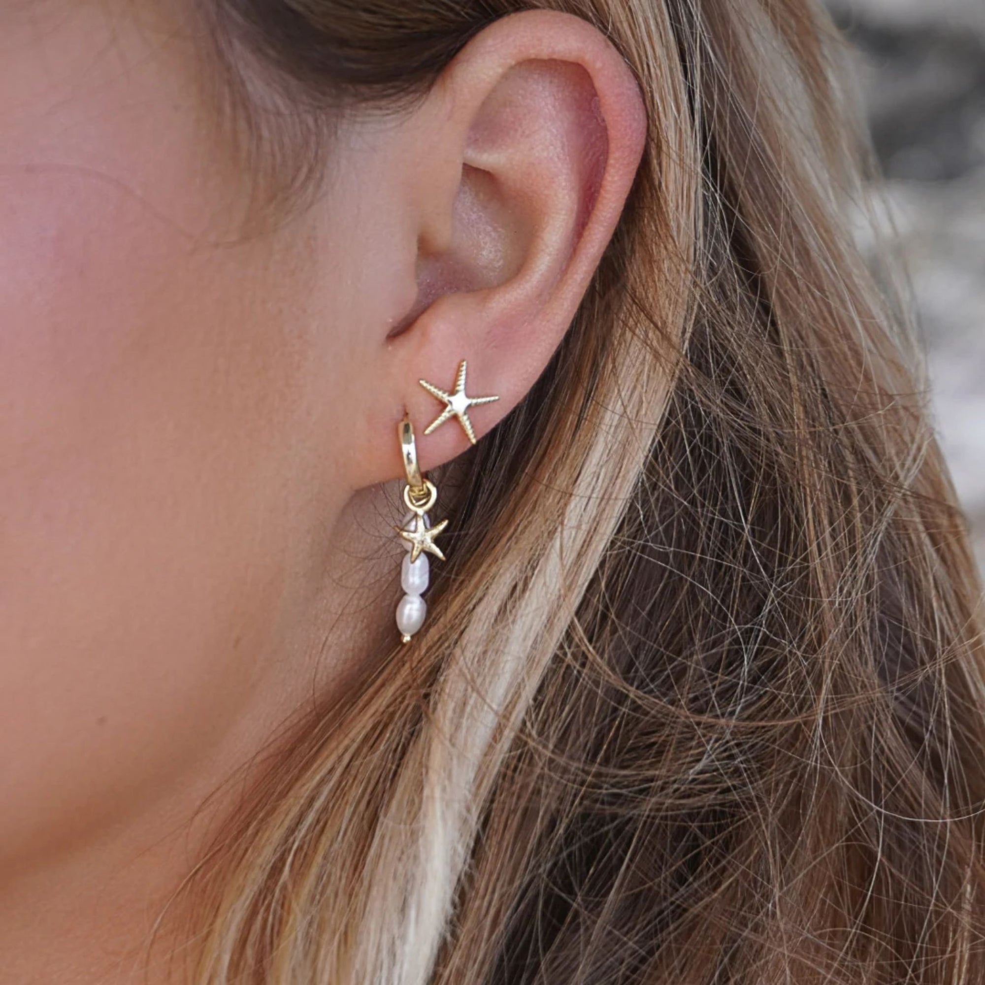 Seastar Studs