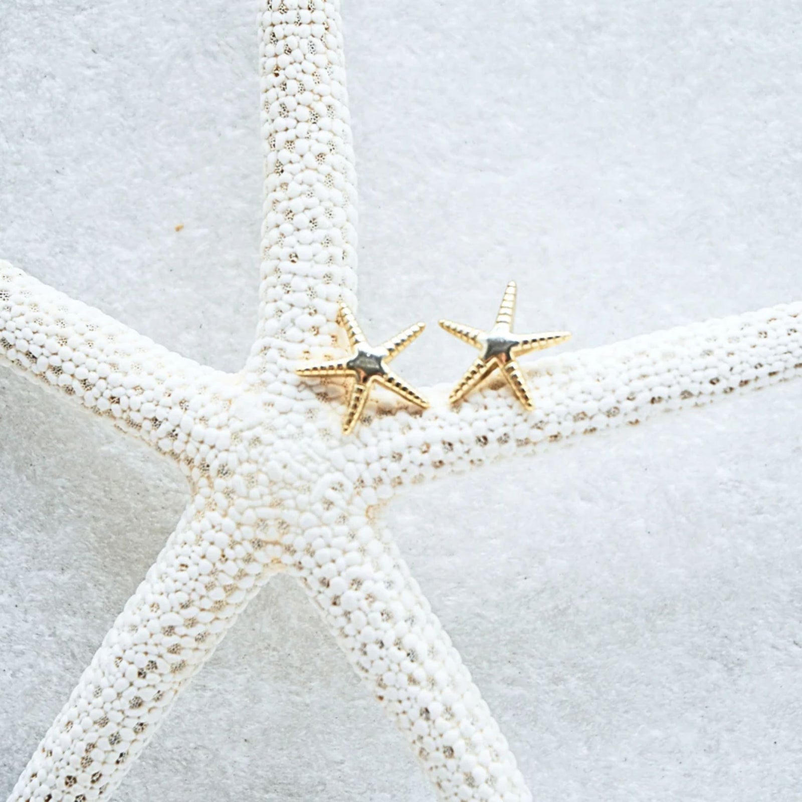 Seastar Studs