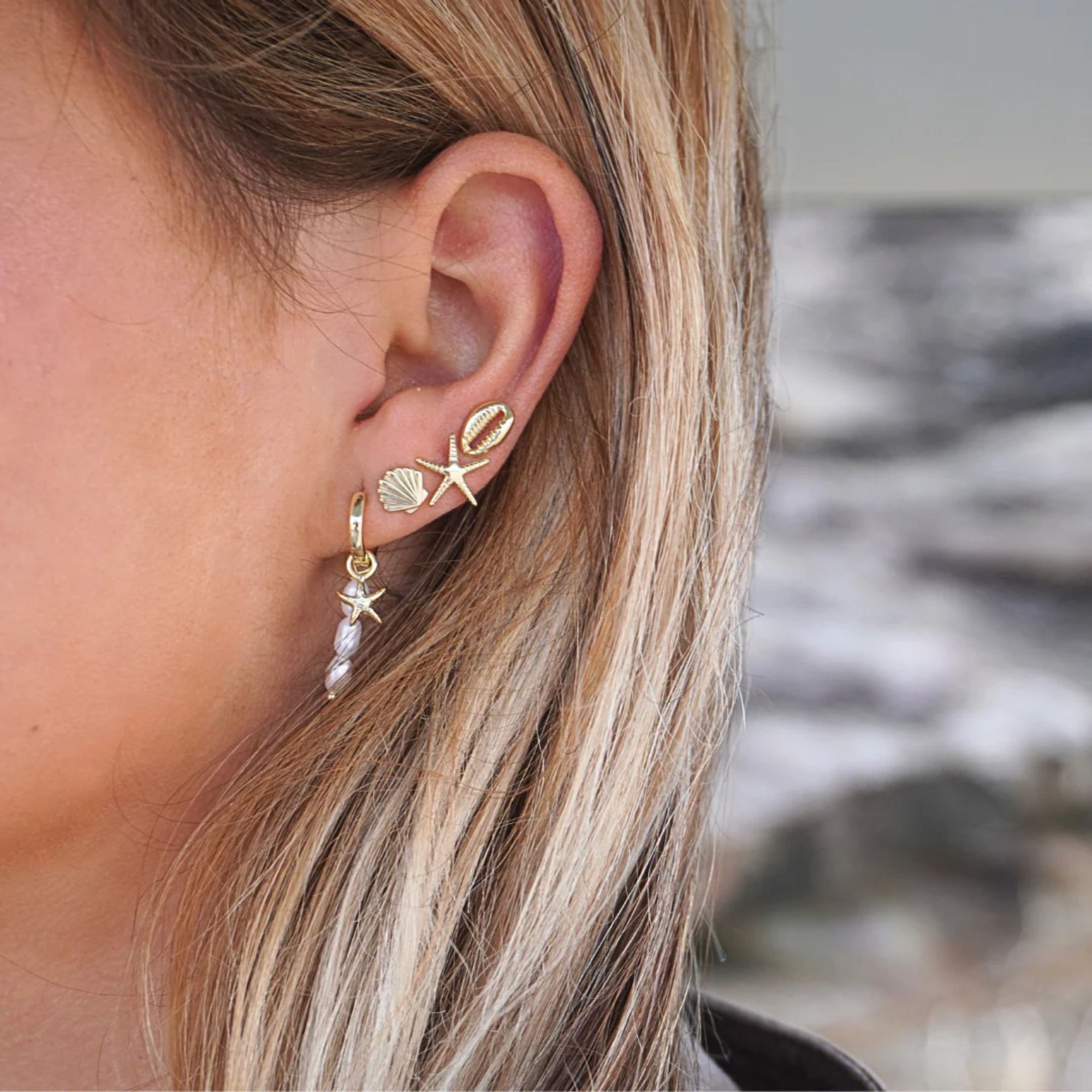 Shell Studs