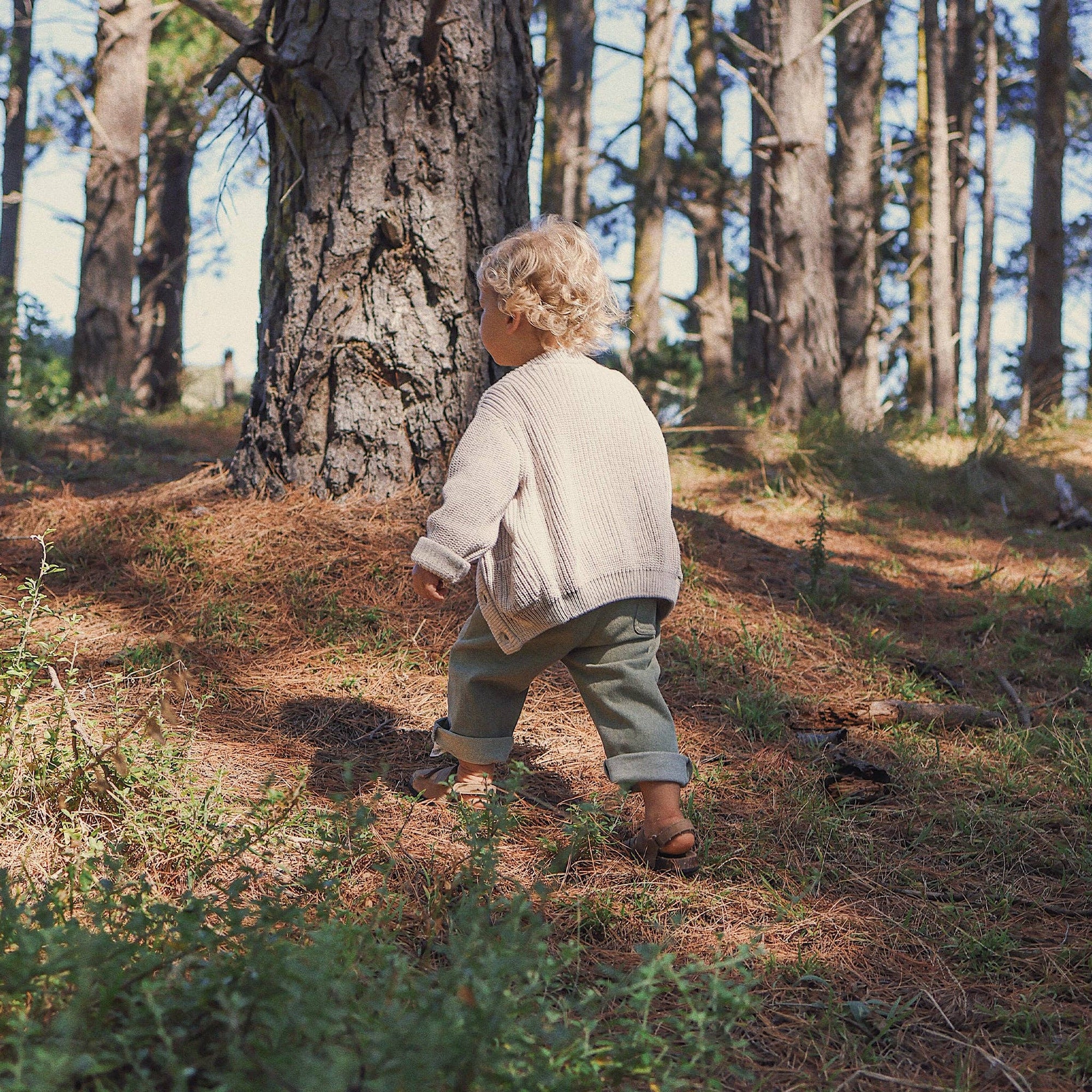 Child walking in a forest with trees and sunlight filtering through the leaves.