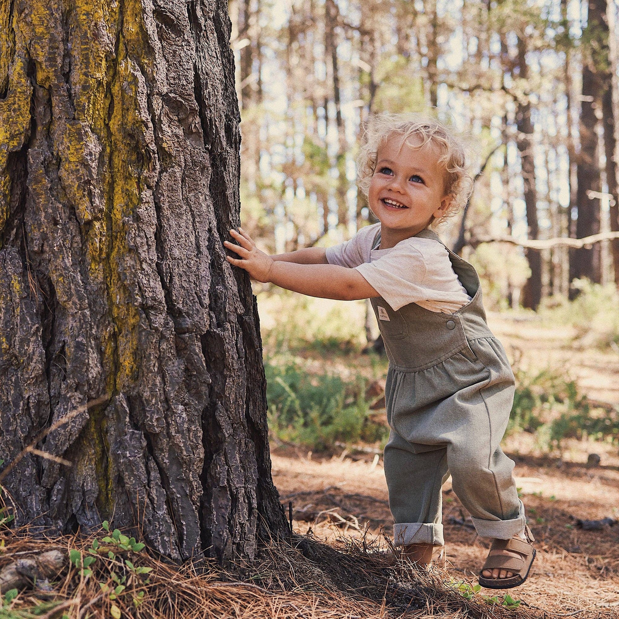 Child standing next to a tree in a forest