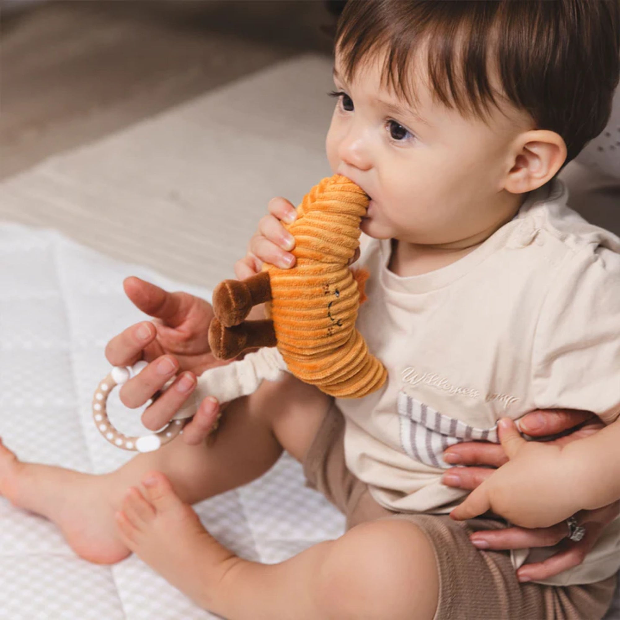 Mini Market Stroller Toys