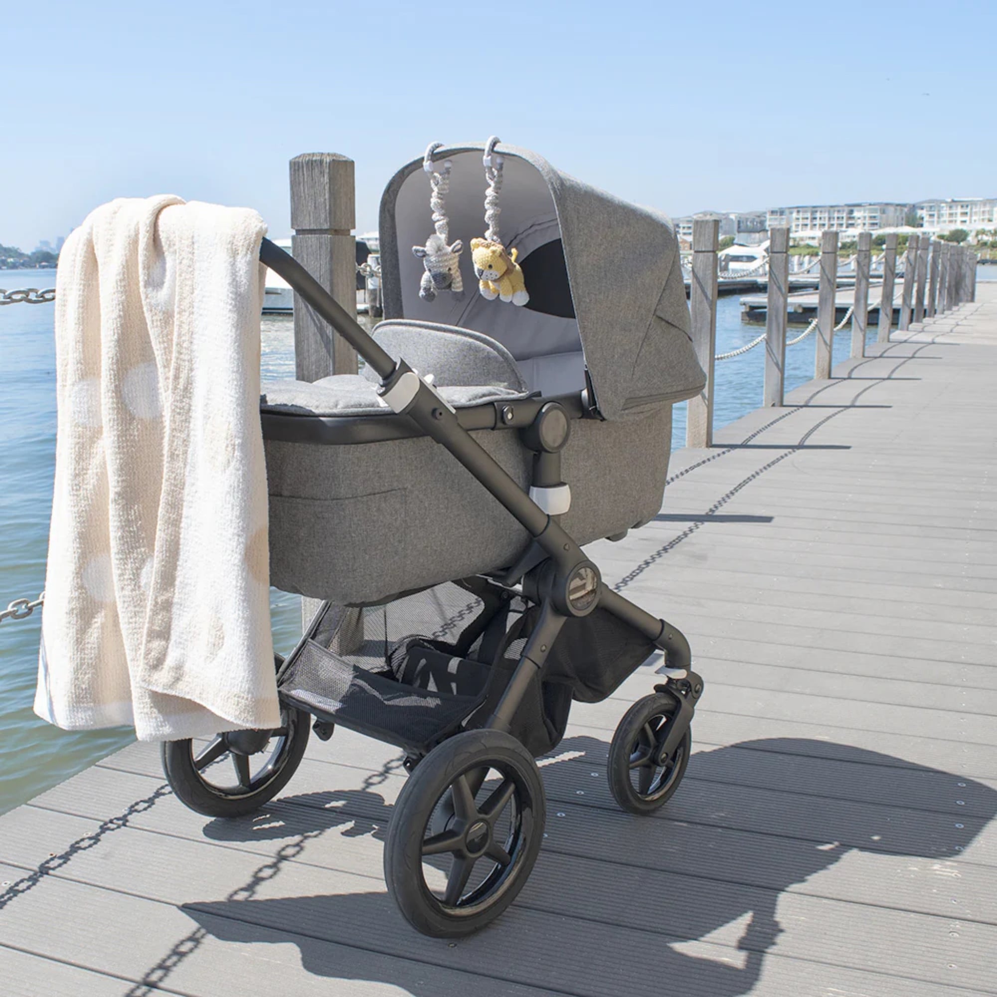 Stroller Toy