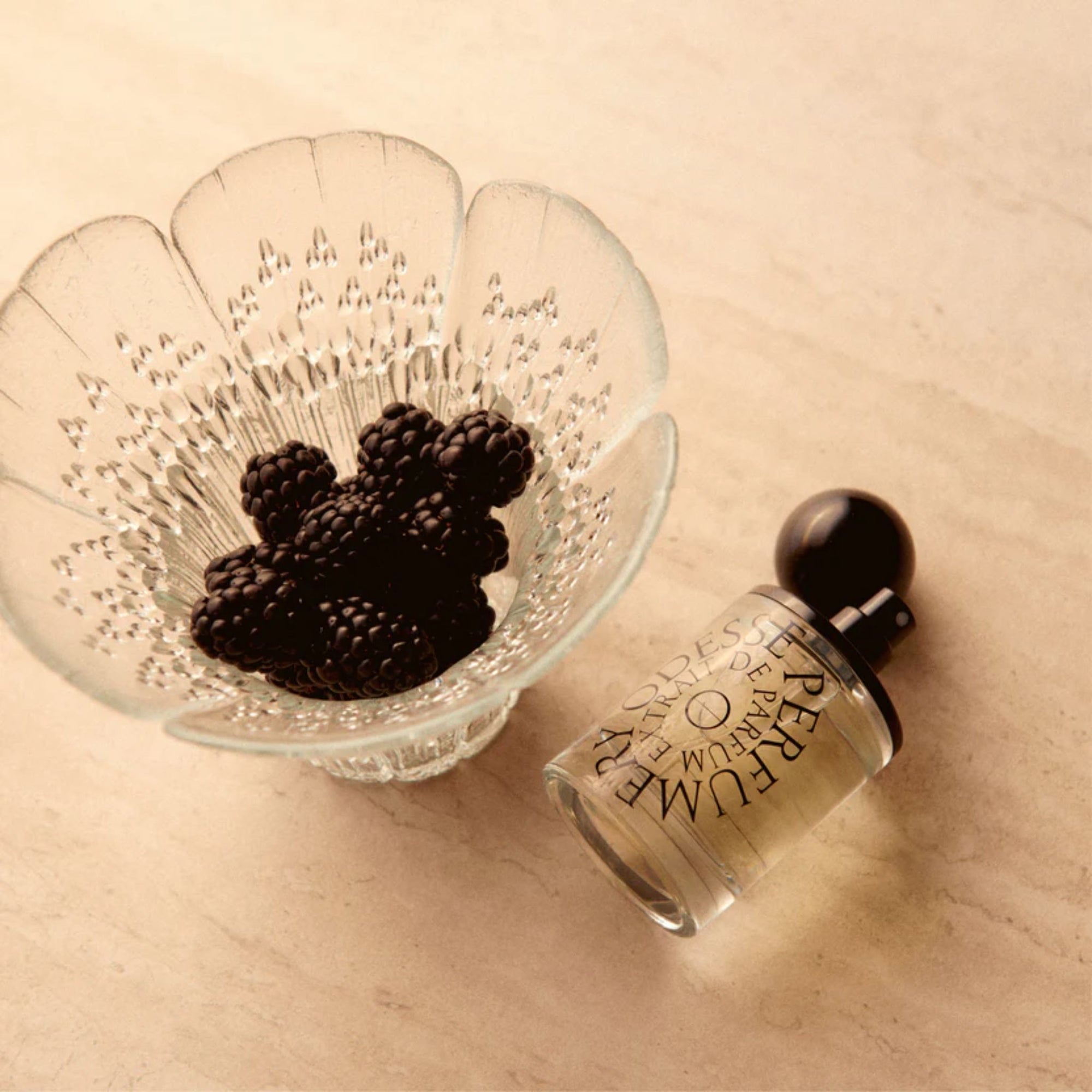 Hotel Jasmine EDP