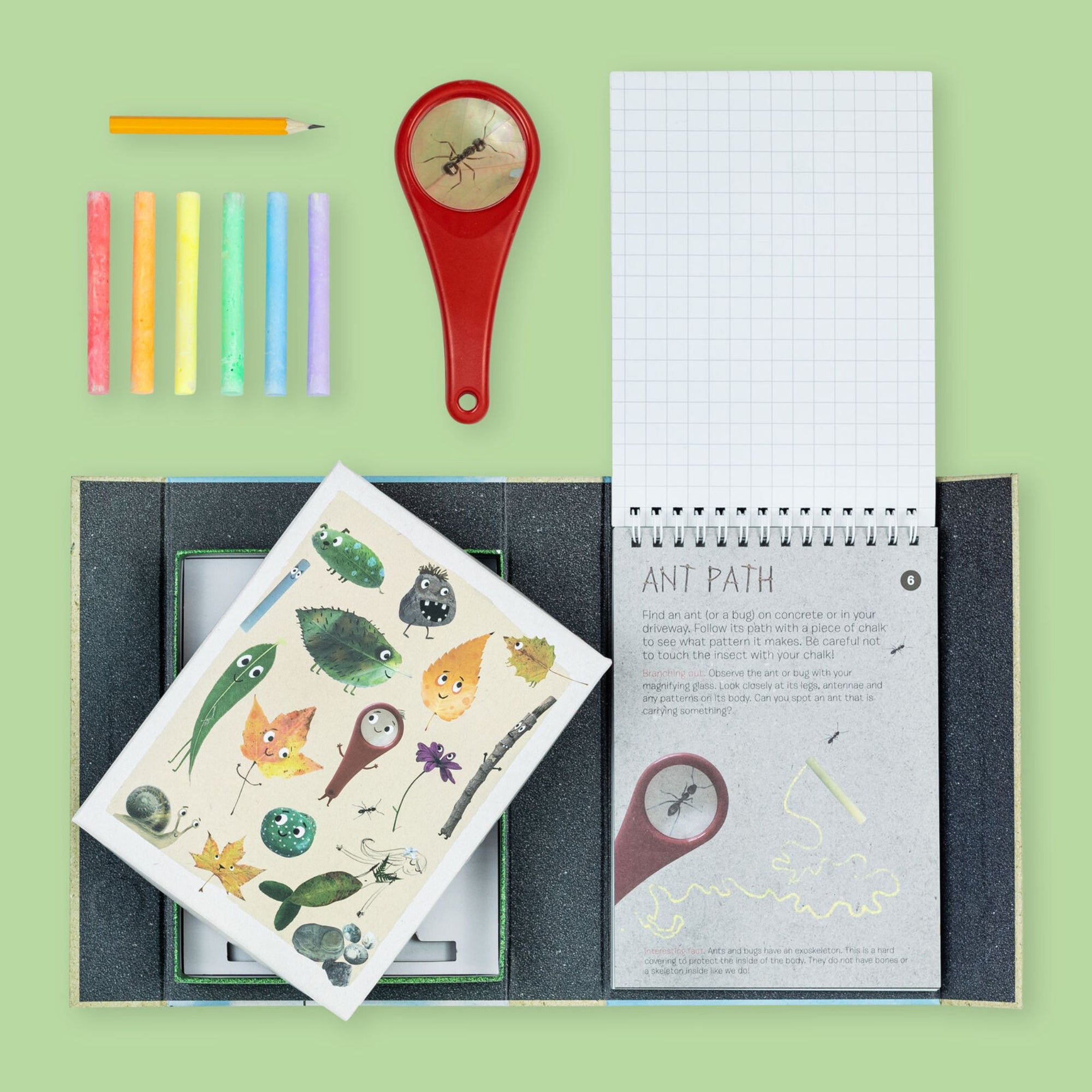 Outdoor Activity Set