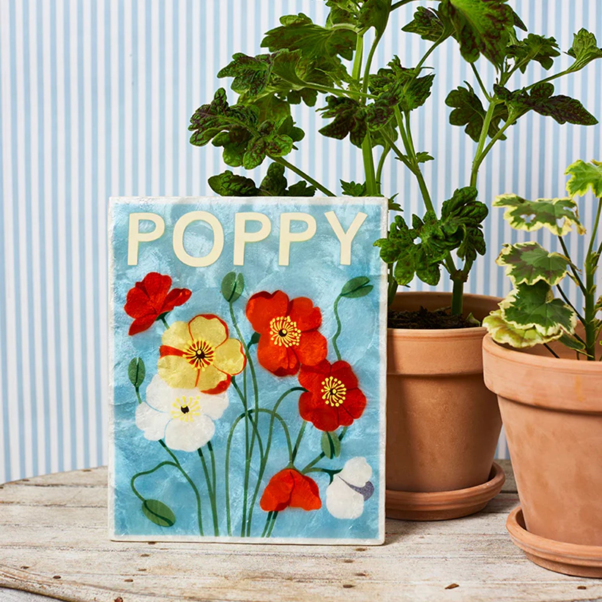 Market Poppy Wall Tile