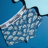 Organic Cotton Mens Underwear