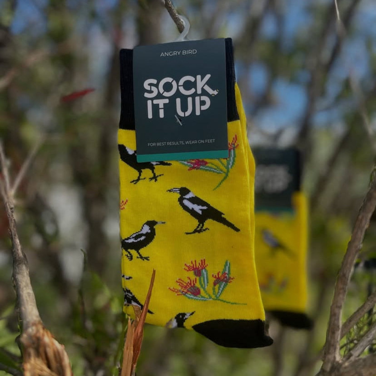 Angry Bird Socks