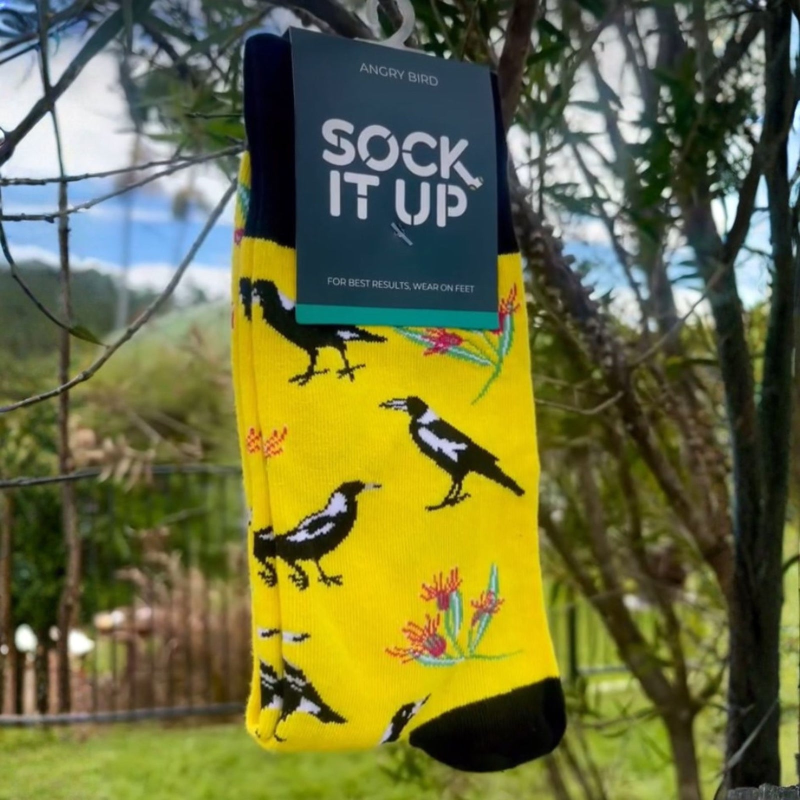 Angry Bird Socks