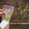 Gift of Seeds