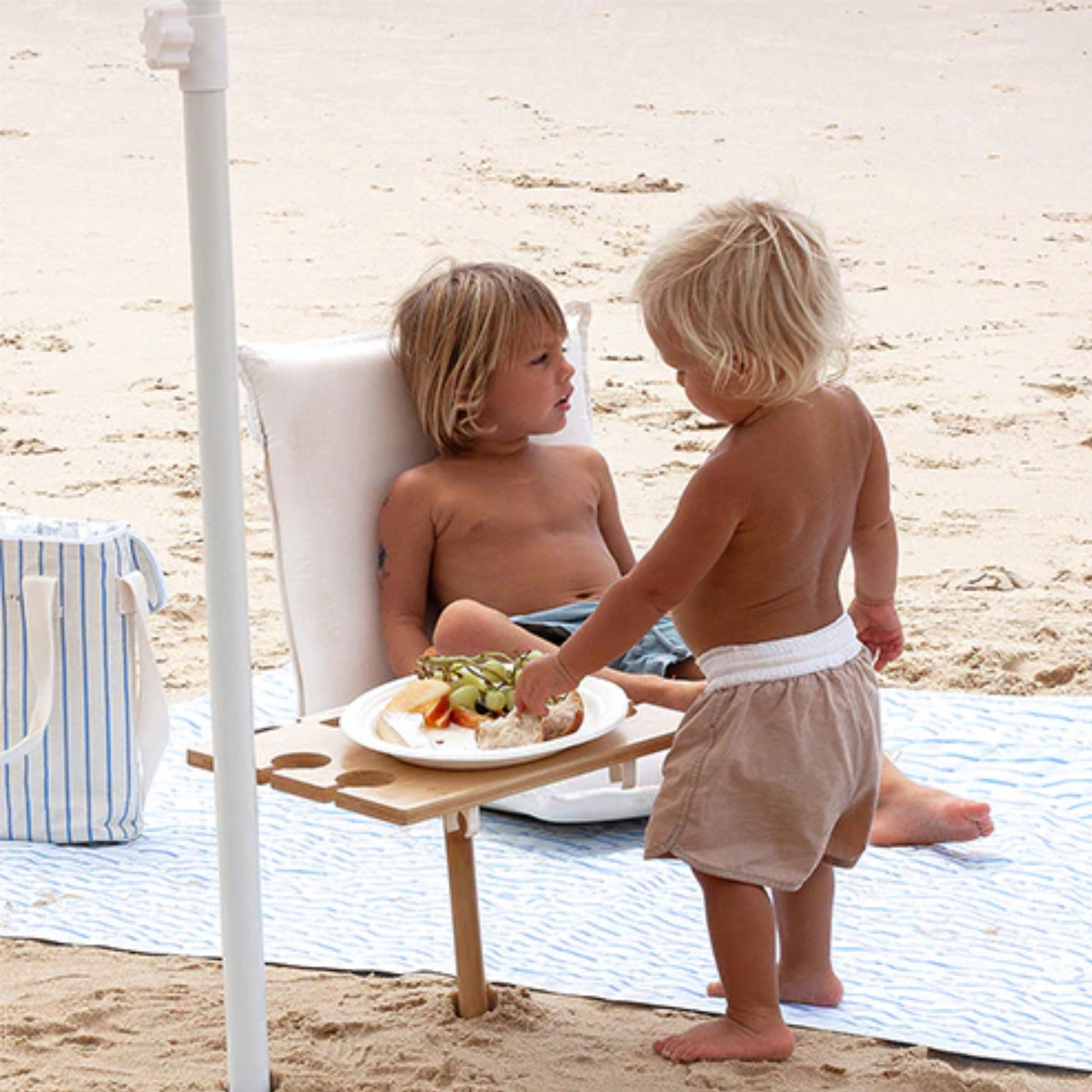 Portable Picnic Table