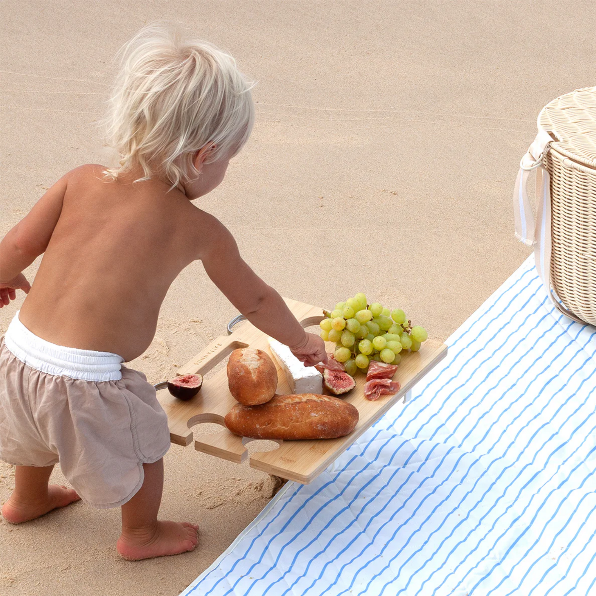 Portable Picnic Table