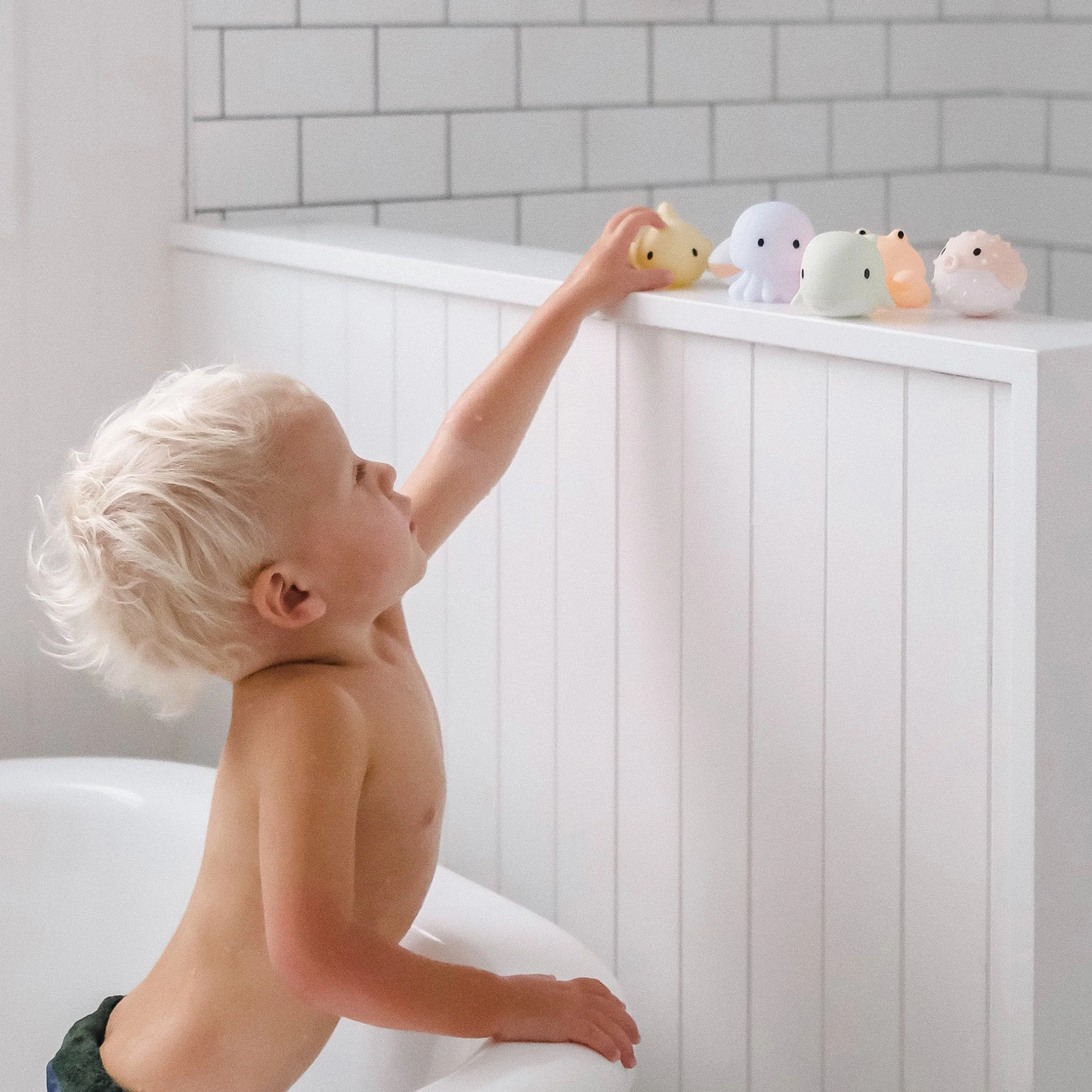 Sea Animal Splash Toys