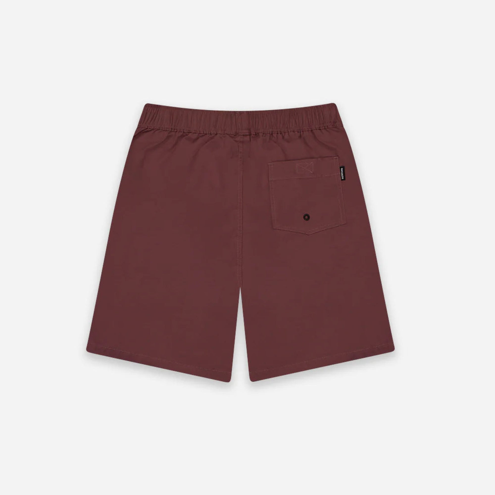 Swim Volley Short