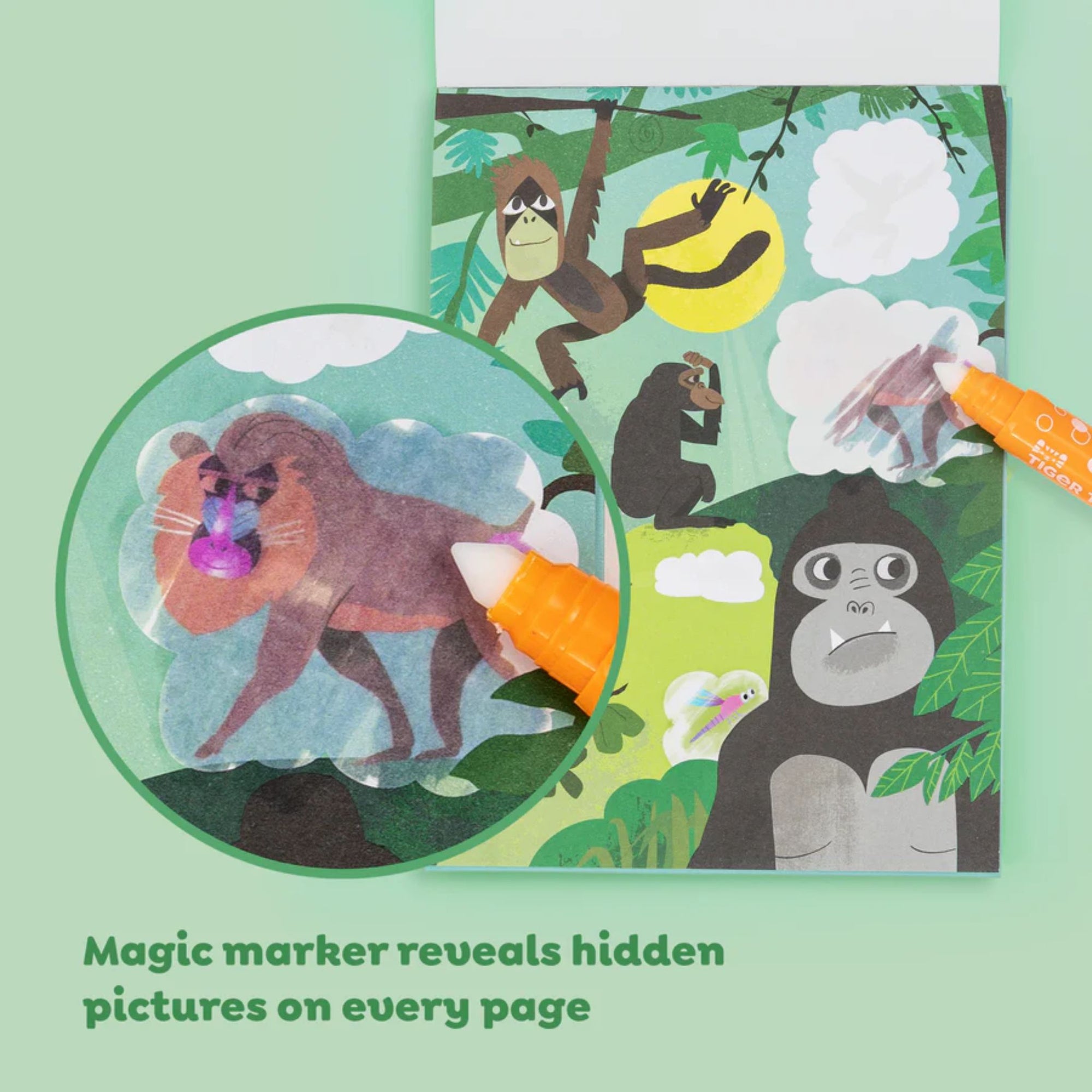 Colour Surprise Zoo