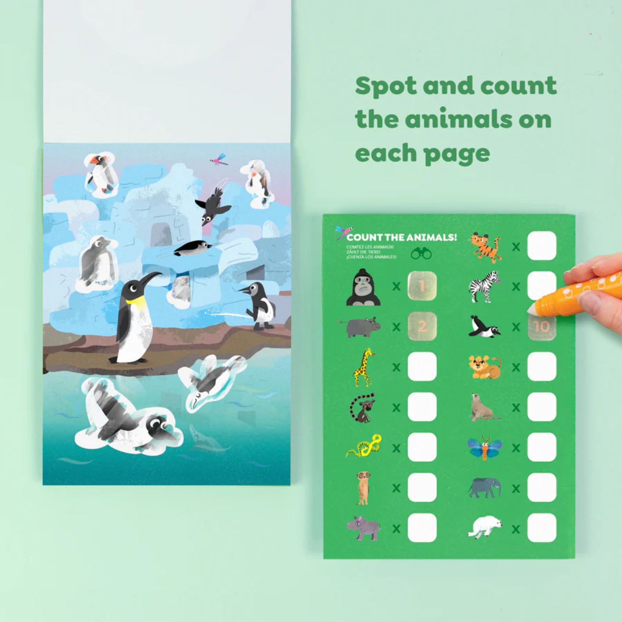Colour Surprise Zoo