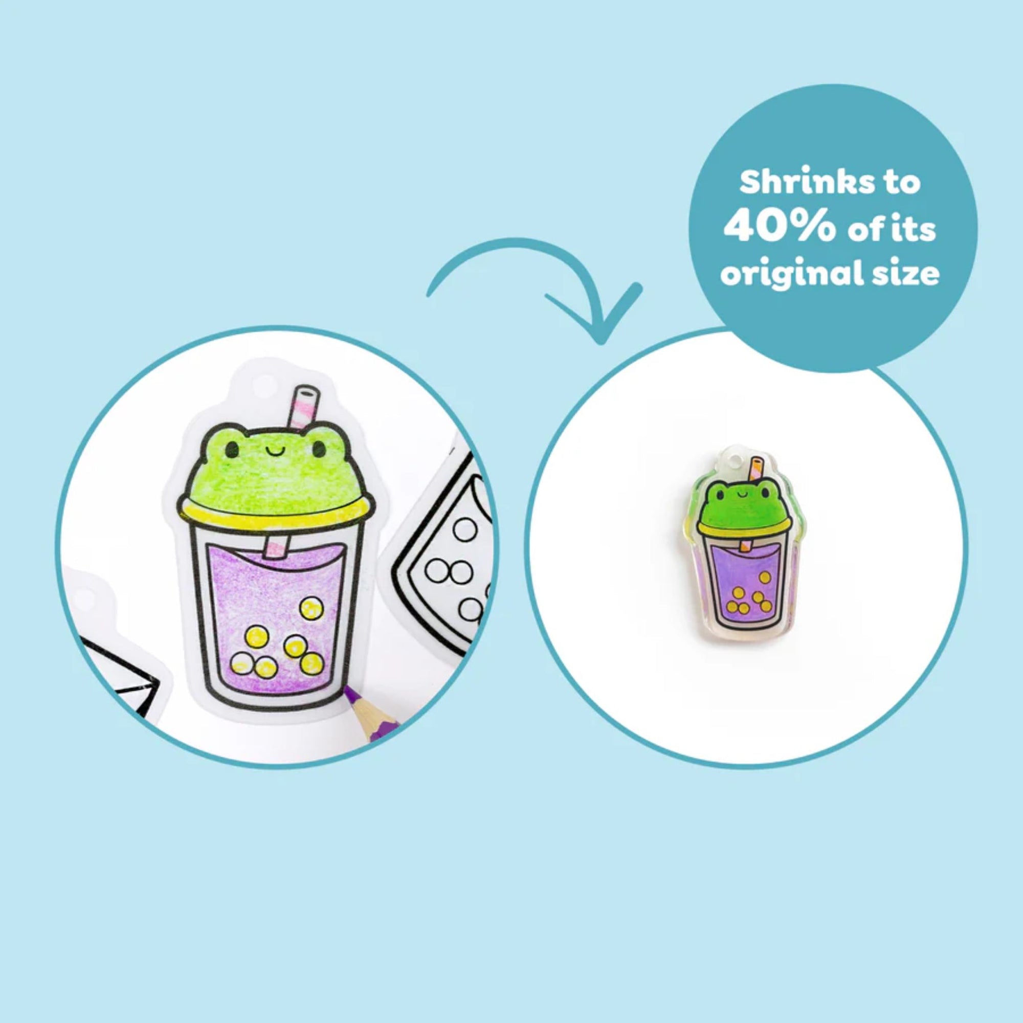 Shrinkorama Charm Bracelet