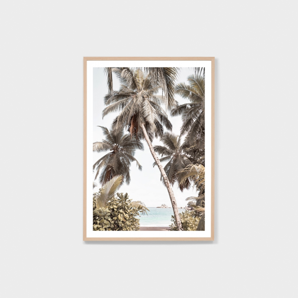 Tropical Retreat Framed Print